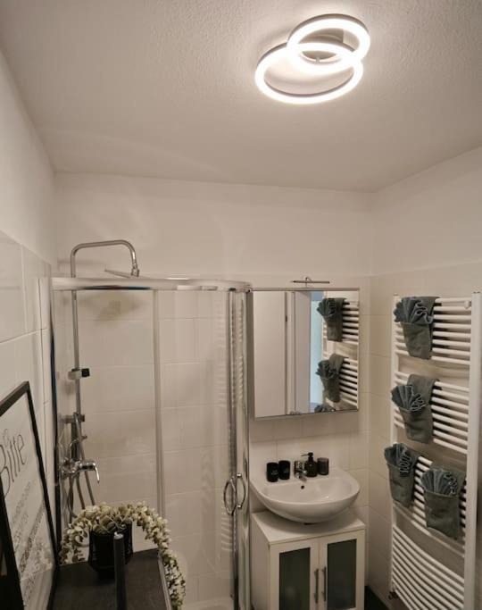 3 80qm Apartment Bamberg